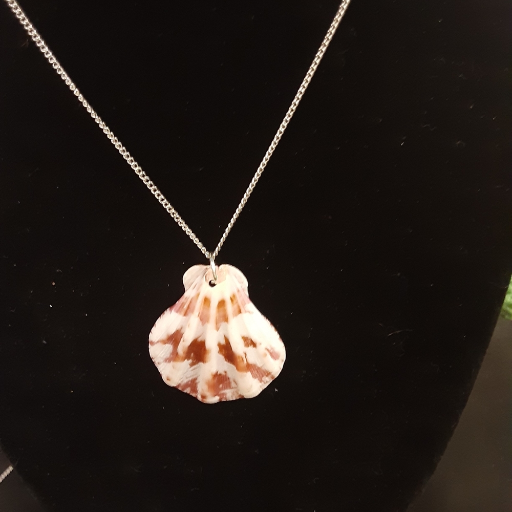 Shell necklace - Picture 2 of 2